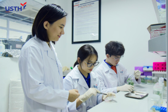 Bachelor in Biotechnology – Drug discovery