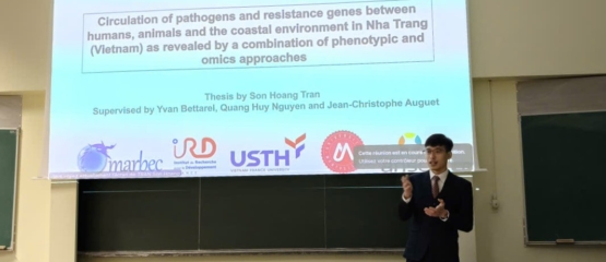 Doctoral Thesis Defense under the Co-Tutelle Program between USTH and French Partner Institutions, 2025 – PhD Candidate Tran Son Hoang