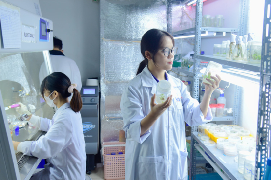 Thạc sĩ ngành Công nghệ Sinh học: Thực vật – Y sinh – Dược học