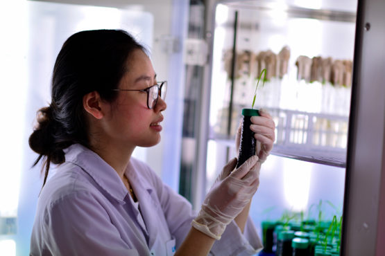 Thạc sĩ ngành Công nghệ Sinh học: Thực vật – Y sinh – Dược học