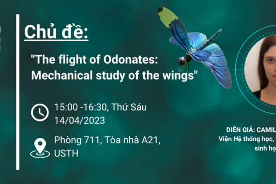 Seminar:  “The flight of Odonates: Mechanical study of the wings”