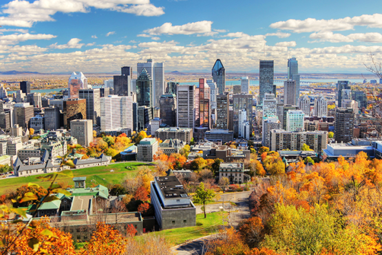 Học bổng SEED thực tập nghiên cứu tại Trường Polytechnique Montréal (Canada) năm học 2024-2025