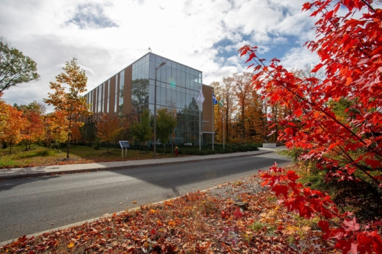 Học bổng SEED trao đổi và thực tập nghiên cứu tại Đại học Québec à Trois-Rivières (Canada) năm học 2024-2025