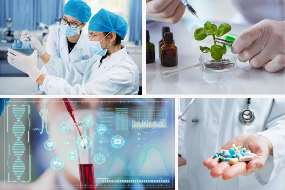 Top 6 công việc cho sinh viên tốt nghiệp ngành Công nghệ sinh học – Phát triển thuốc