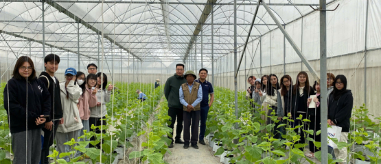 Sinh viên ngành Khoa học và Công nghệ Thực phẩm trải nghiệm mô hình nông nghiệp công nghệ cao tại HTX Tân Minh Đức