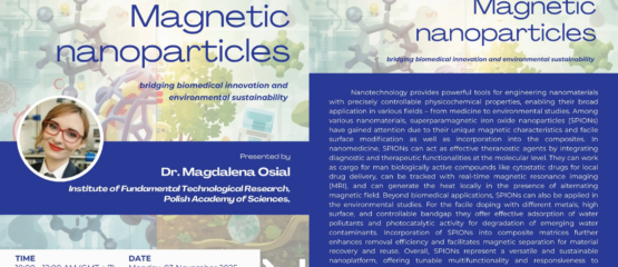 Seminar: Magnetic nanoparticles – Bridging biomedical innovation and environmental sustainability